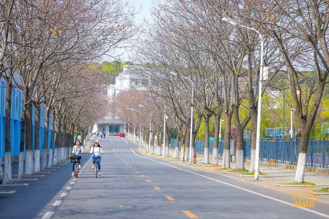 华中农业大学校园到底有多美,华中农业大学园艺林学院