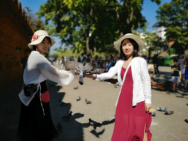 曼谷普吉岛7日自由行攻略,泰国曼谷清迈详细旅游攻略