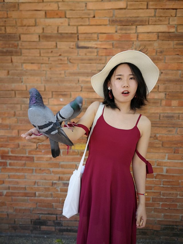 曼谷普吉岛7日自由行攻略,泰国曼谷清迈详细旅游攻略