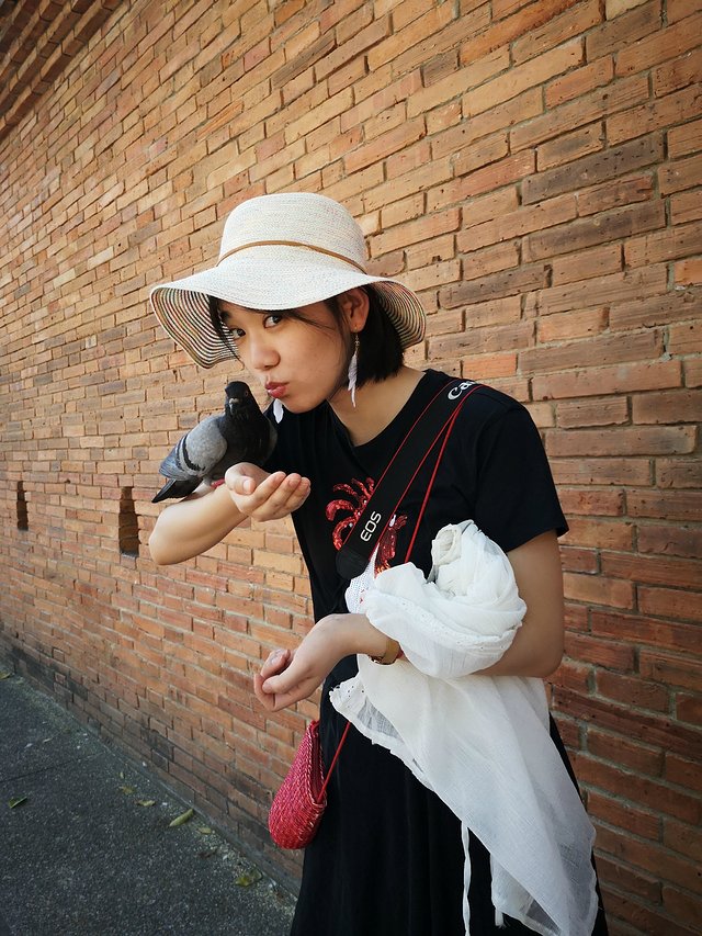 曼谷普吉岛7日自由行攻略,泰国曼谷清迈详细旅游攻略