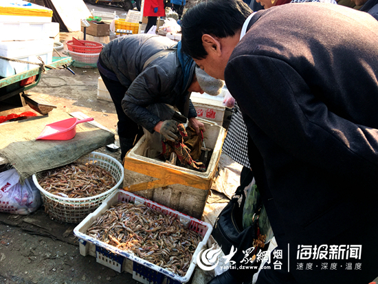 嘎巴虾特产上市,大连嘎巴虾现在多少钱一斤