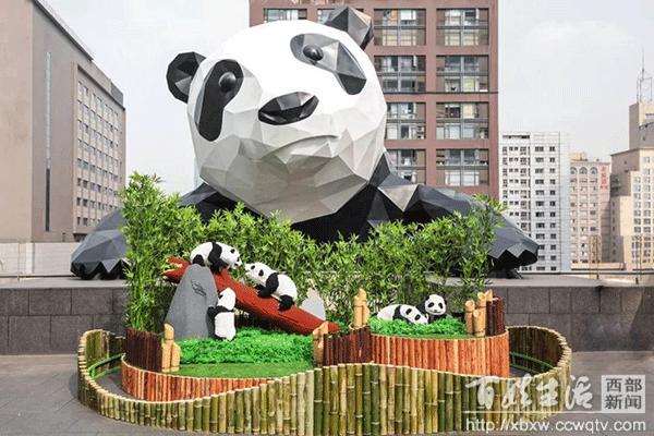 实用与颜值并重锦江区“屋顶经济”悄然兴起