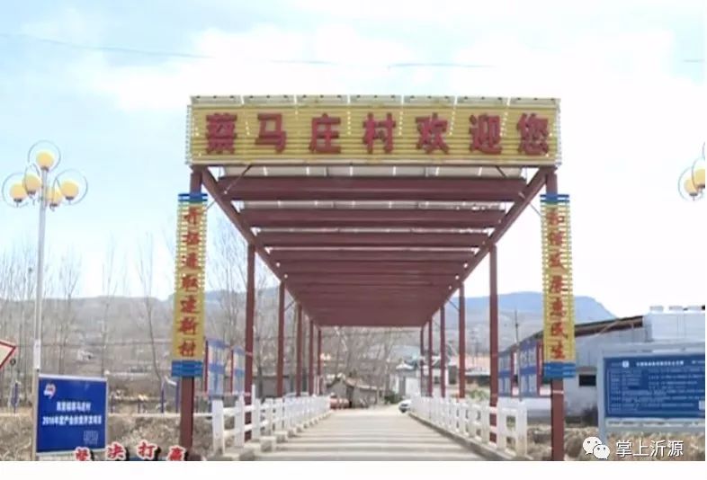 这个村的“阳光绿伞”真不赖,分分钟能赚钱!