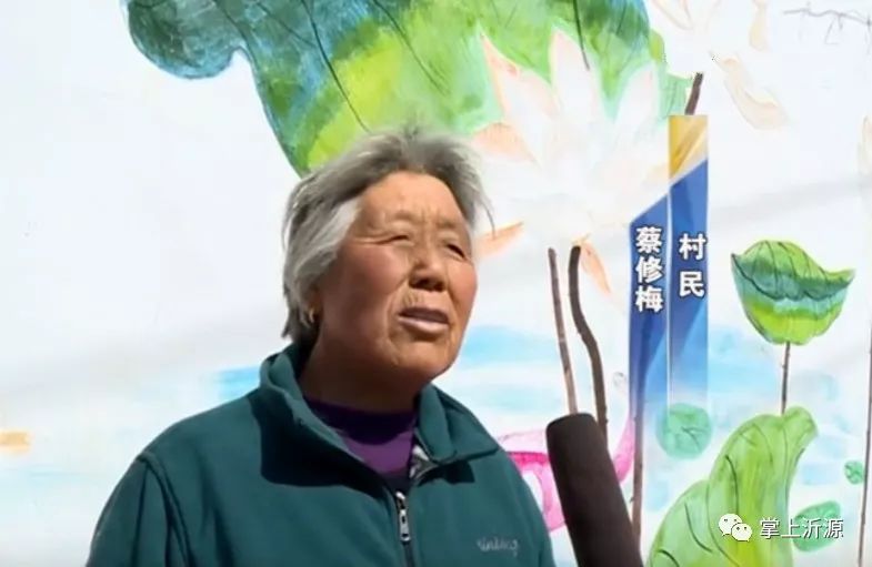 这个村的“阳光绿伞”真不赖,分分钟能赚钱!