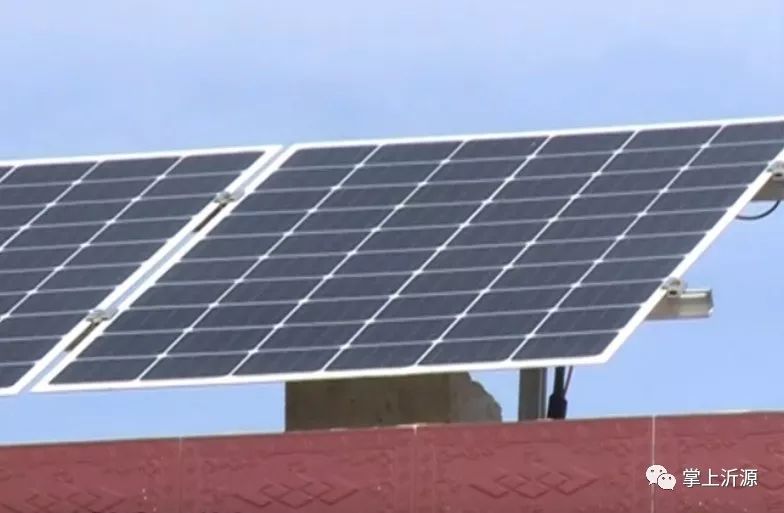 这个村的“阳光绿伞”真不赖,分分钟能赚钱!