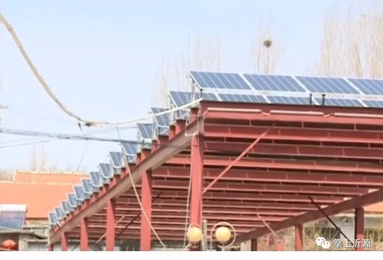 这个村的“阳光绿伞”真不赖,分分钟能赚钱!