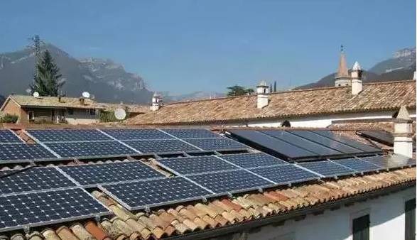 这个村的“阳光绿伞”真不赖,分分钟能赚钱!