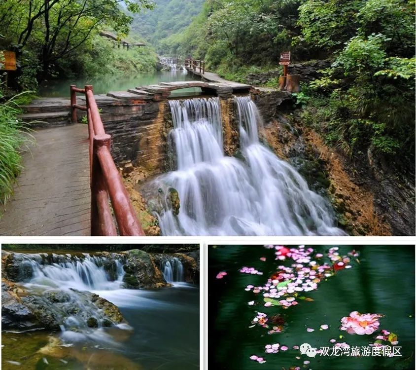 春暖花开醉美齐山,春暖花开醉美花海