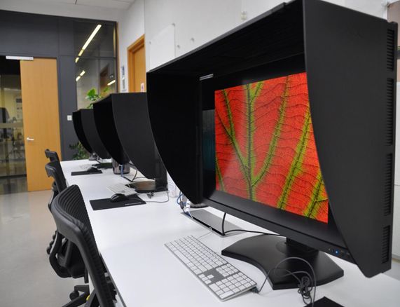 雅昌NEC携手，还原最真实的艺术