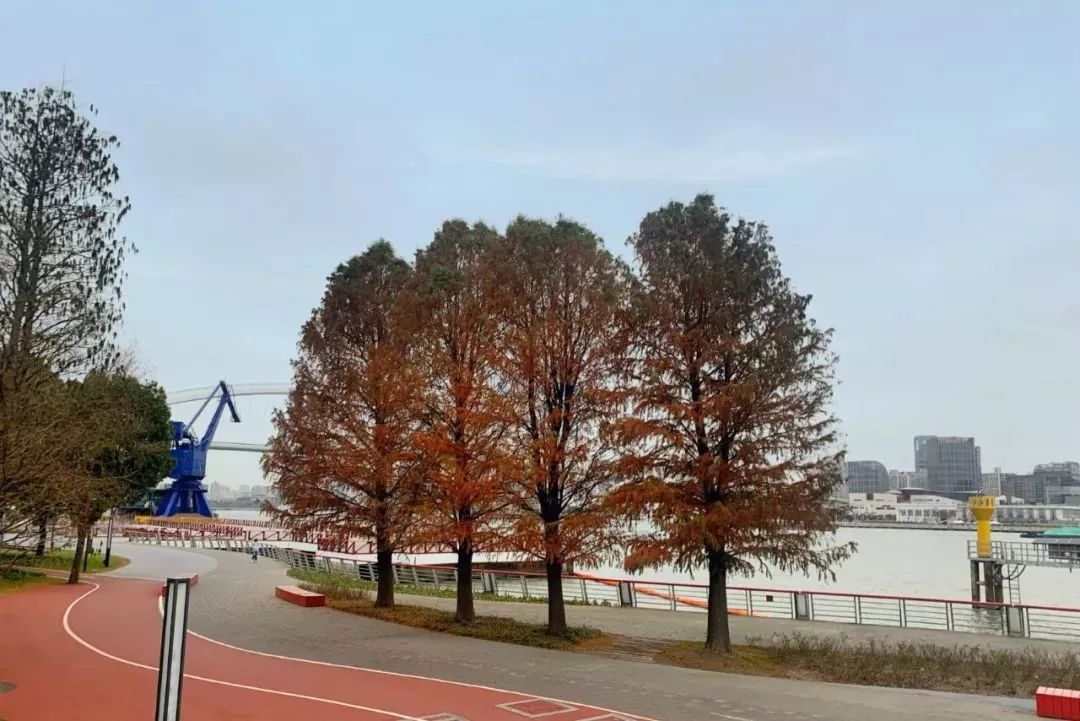 上海黄浦江旁边的公园,黄浦江边上的公园