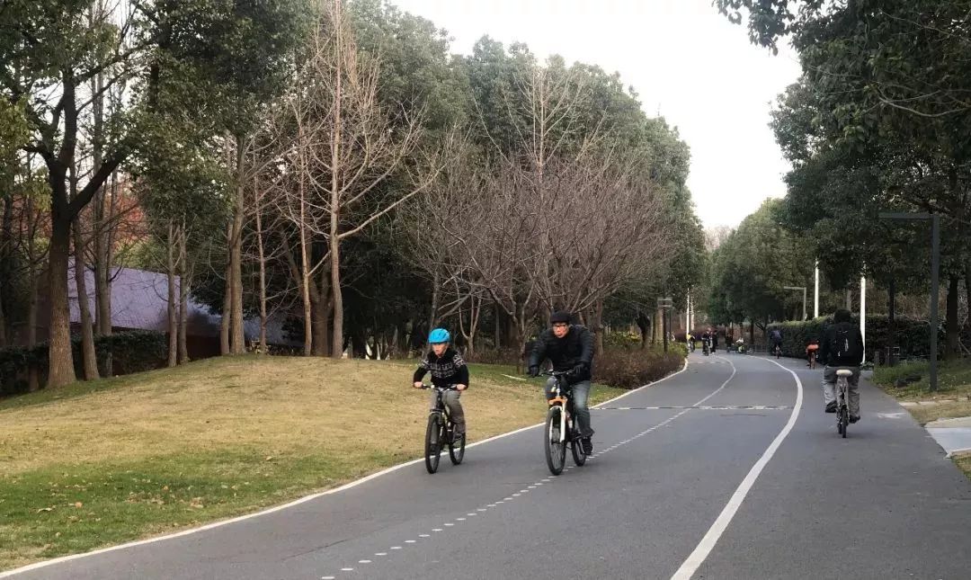 上海黄浦江旁边的公园,黄浦江边上的公园