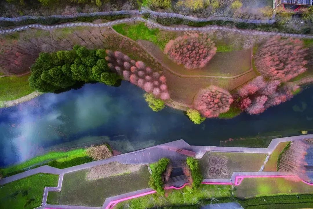 上海黄浦江旁边的公园,黄浦江边上的公园