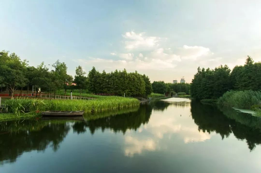 上海黄浦江旁边的公园,黄浦江边上的公园