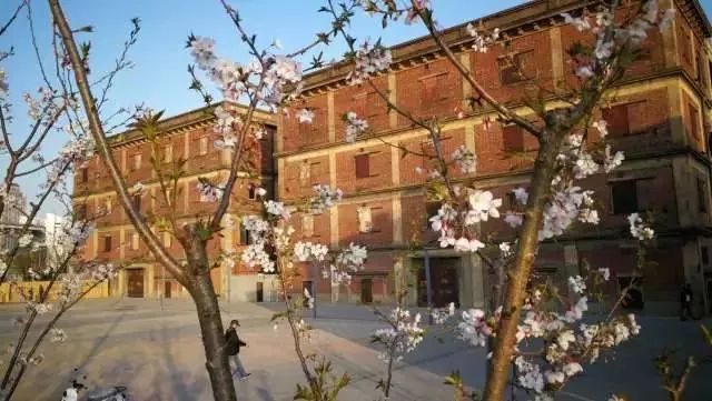 上海黄浦江旁边的公园,黄浦江边上的公园