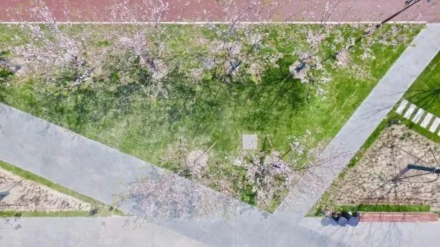 上海黄浦江旁边的公园,黄浦江边上的公园