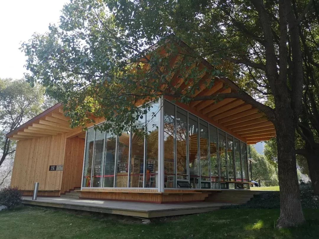 上海黄浦江旁边的公园,黄浦江边上的公园