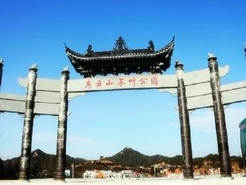 风月无边，茶事正好！这几座茶园里，藏着湖北最美的春天