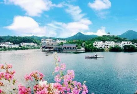 风月无边，茶事正好！这几座茶园里，藏着湖北最美的春天