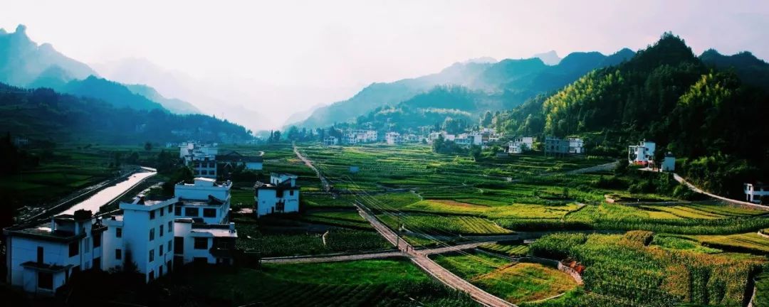 风月无边，茶事正好！这几座茶园里，藏着湖北最美的春天
