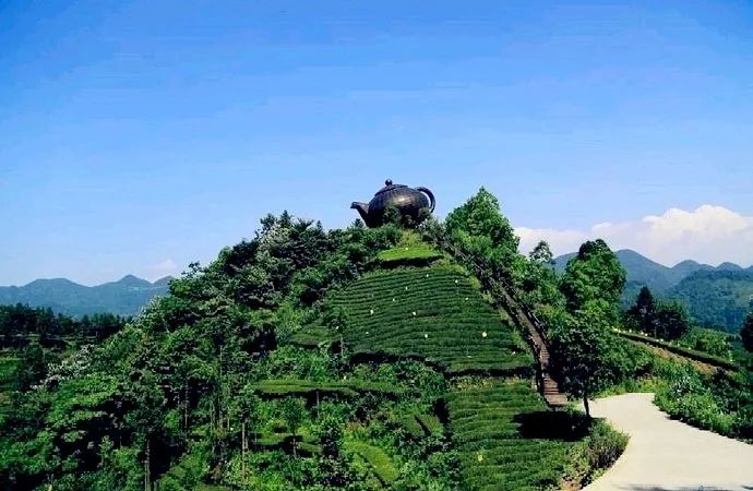 风月无边，茶事正好！这几座茶园里，藏着湖北最美的春天