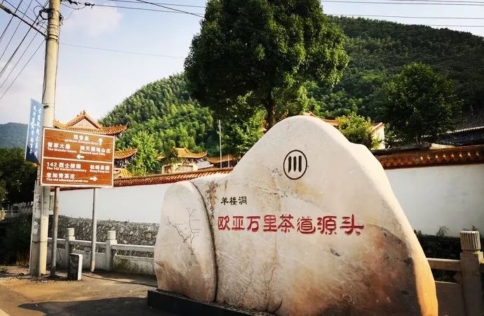 风月无边，茶事正好！这几座茶园里，藏着湖北最美的春天