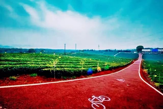 风月无边，茶事正好！这几座茶园里，藏着湖北最美的春天