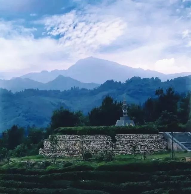 风月无边，茶事正好！这几座茶园里，藏着湖北最美的春天