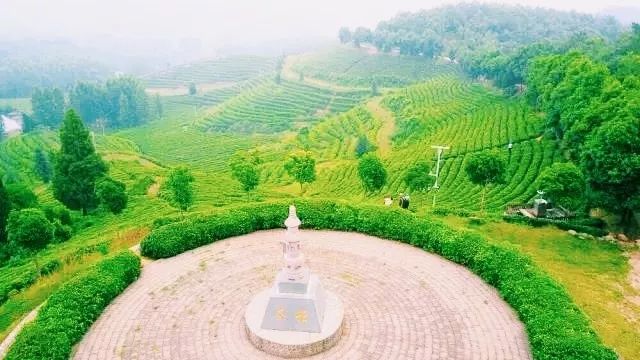风月无边，茶事正好！这几座茶园里，藏着湖北最美的春天
