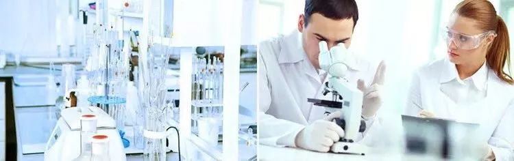 拯救发际线增加发量洗发水,生发发际线的神器测评