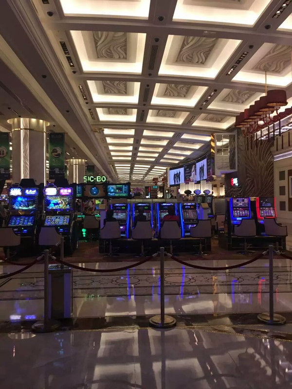 澳门一日游攻略美食,澳门一日游攻略大全免费