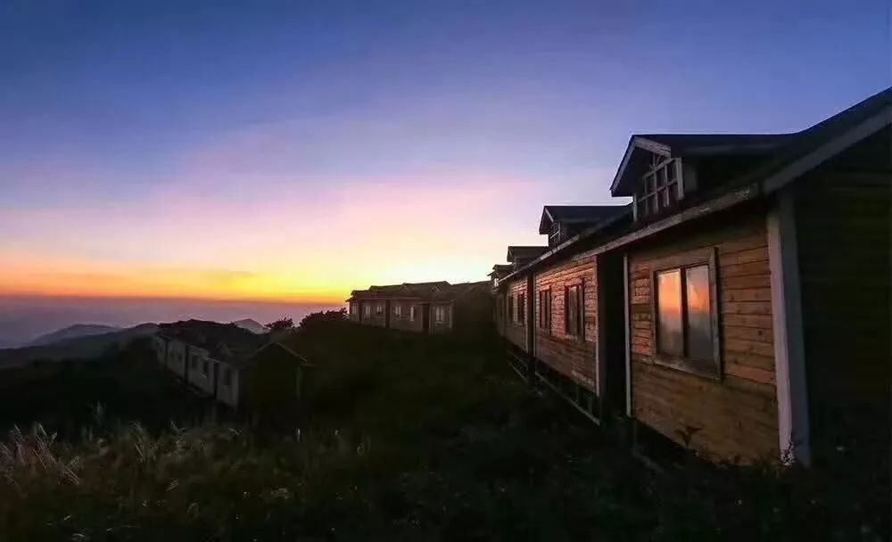 福建树屋酒店推荐,福建特色树屋民宿度假屋特点