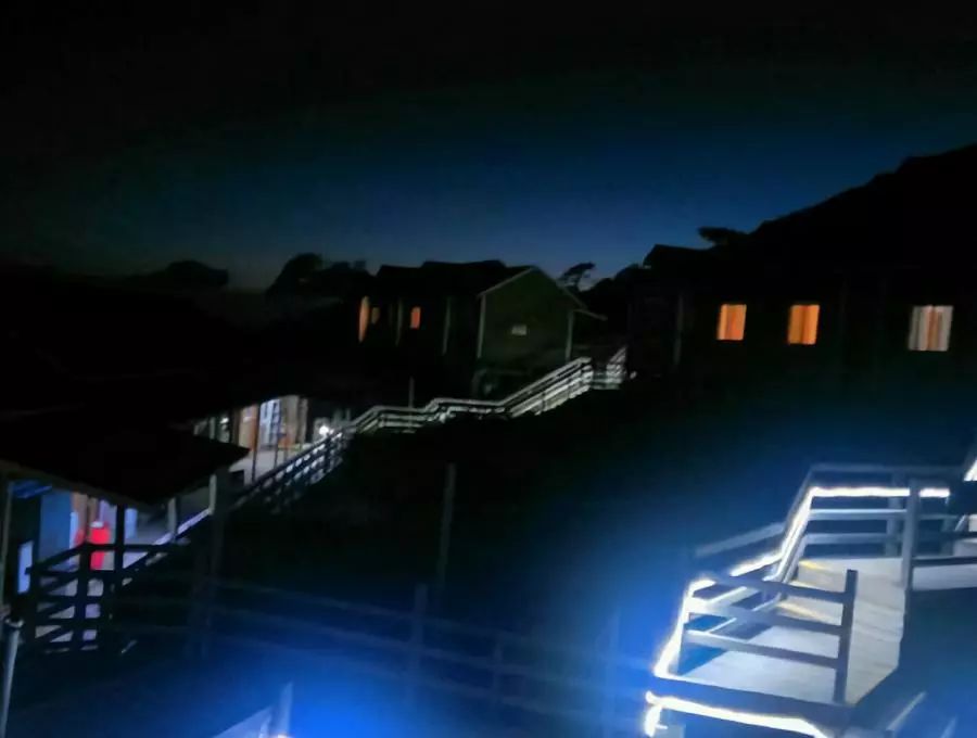 福建树屋酒店推荐,福建特色树屋民宿度假屋特点