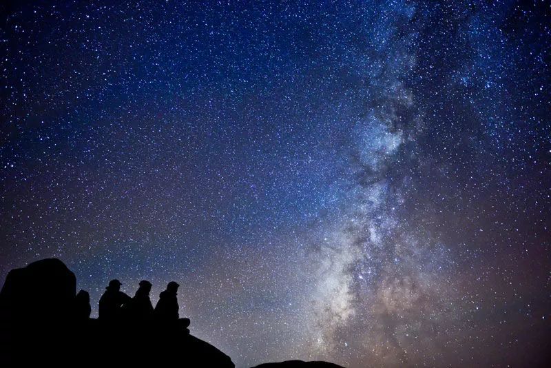 福建树屋酒店推荐,福建特色树屋民宿度假屋特点