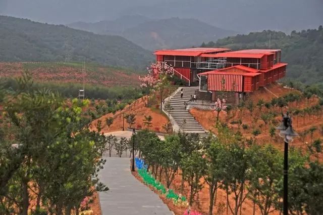 福建树屋酒店推荐,福建特色树屋民宿度假屋特点