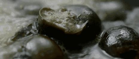 胃出血适合吃的家常菜,这道时令菜肴别错过