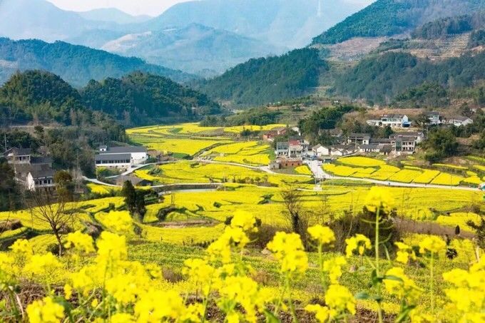 奉化第一桃园赏桃花,奉化桃花景点推荐