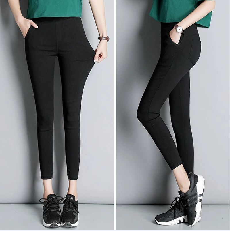 田野里的自然历史课链接,田野里的自然历史课畅享版全5册