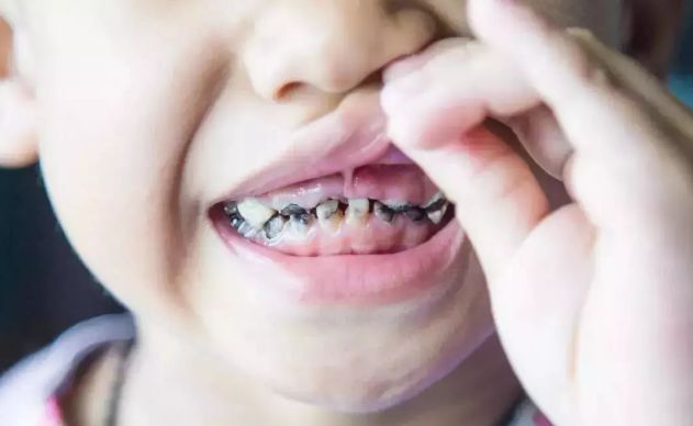 田野里的自然历史课链接,田野里的自然历史课畅享版全5册