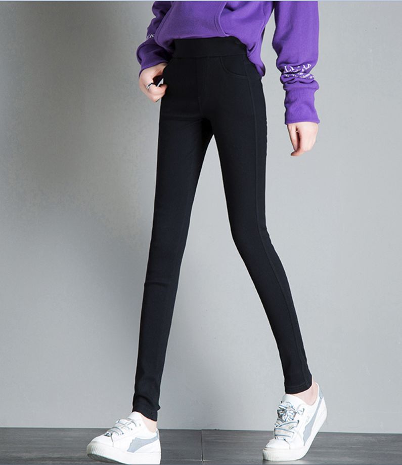 田野里的自然历史课链接,田野里的自然历史课畅享版全5册