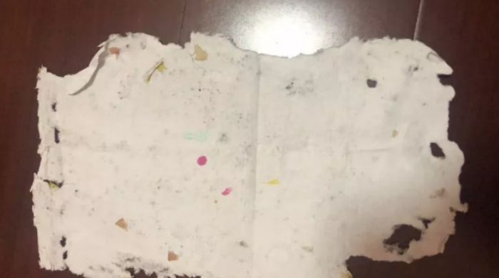 田野里的自然历史课链接,田野里的自然历史课畅享版全5册