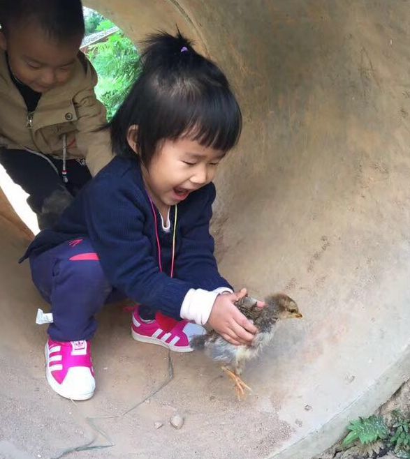 田野里的自然历史课链接,田野里的自然历史课畅享版全5册