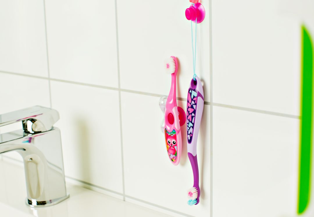 田野里的自然历史课链接,田野里的自然历史课畅享版全5册