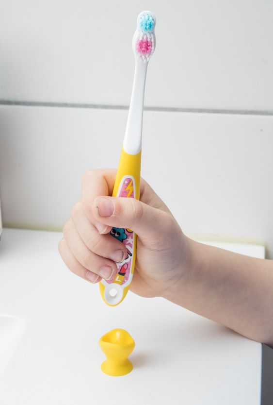 田野里的自然历史课链接,田野里的自然历史课畅享版全5册