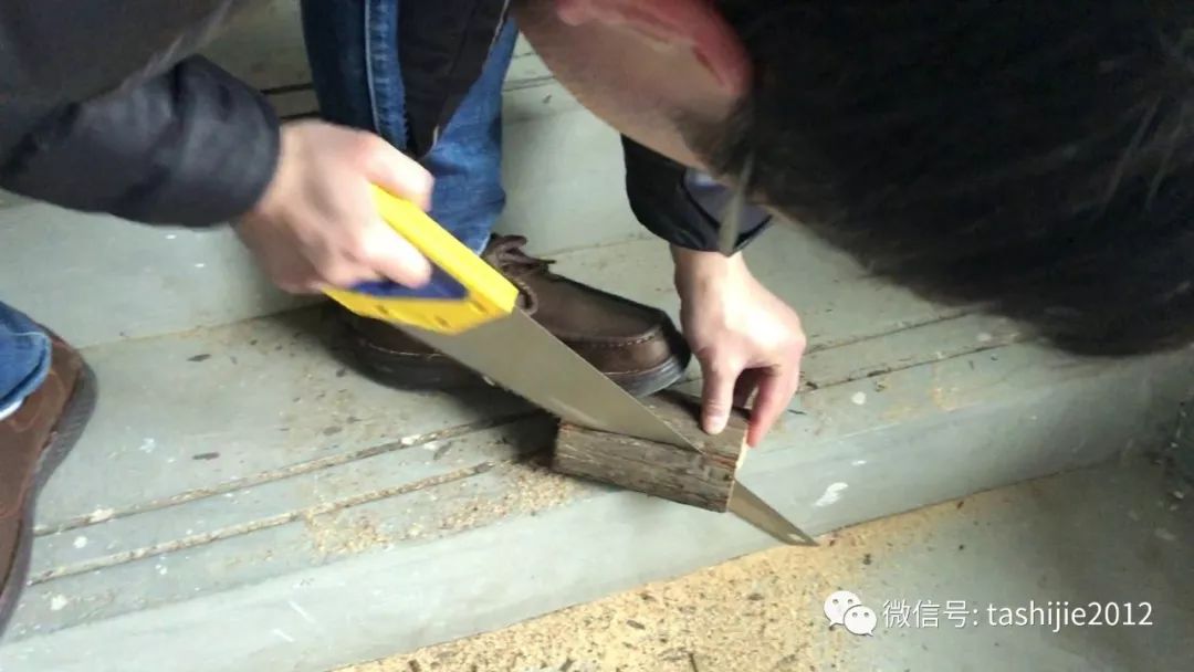 《28天游隼救护日志》