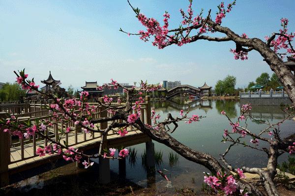甘肃古丝绸之路上的一颗璀璨明珠,兰州丝绸之路的明珠