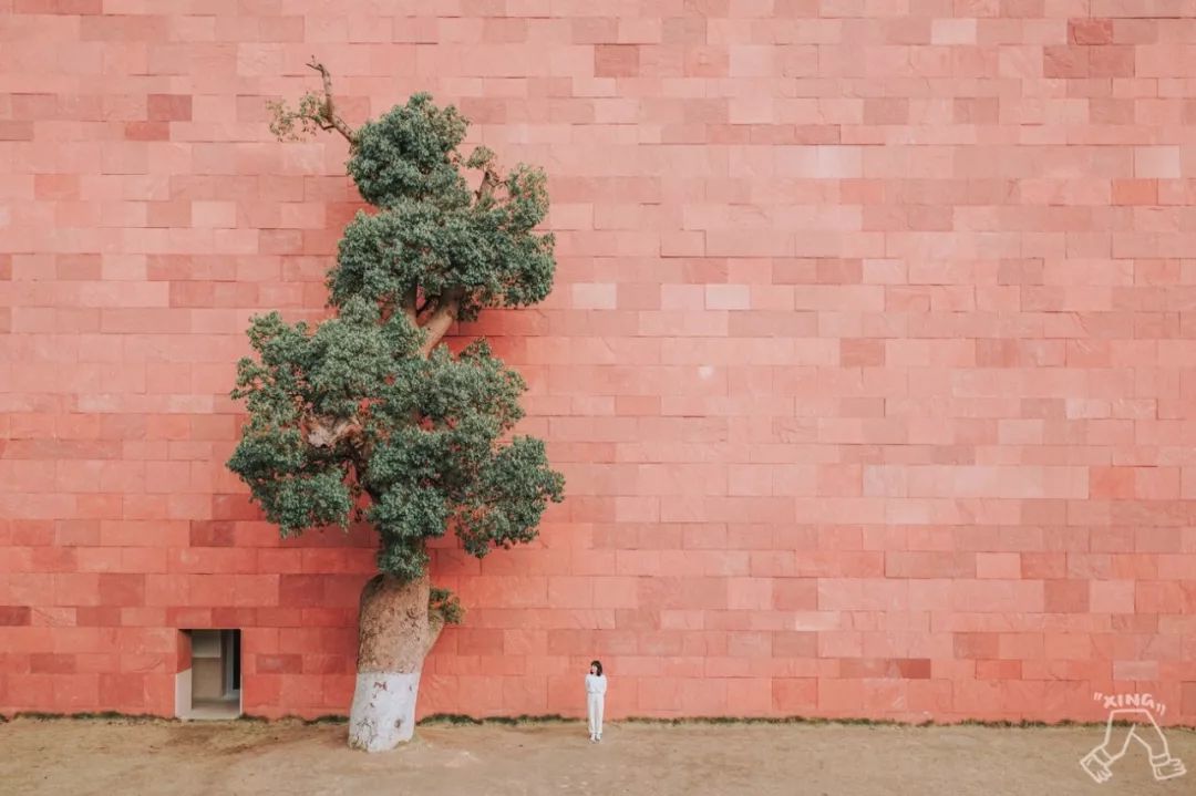 杭州这8组拍照极美的网红地标建筑，个个都美得不落俗套