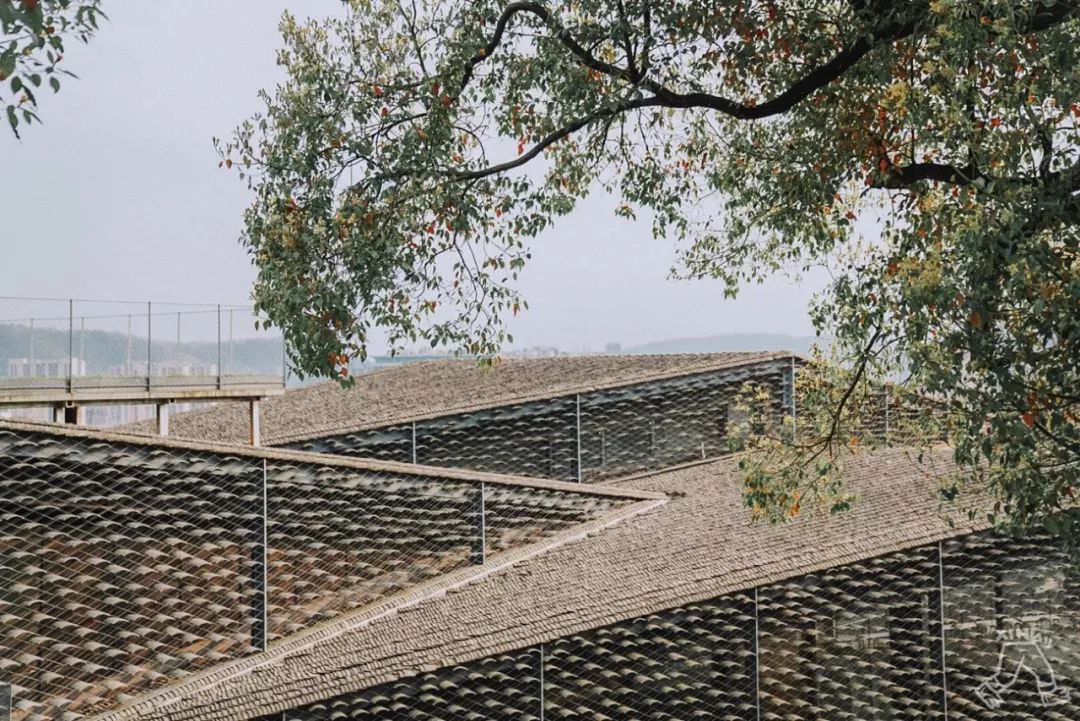 杭州这8组拍照极美的网红地标建筑，个个都美得不落俗套