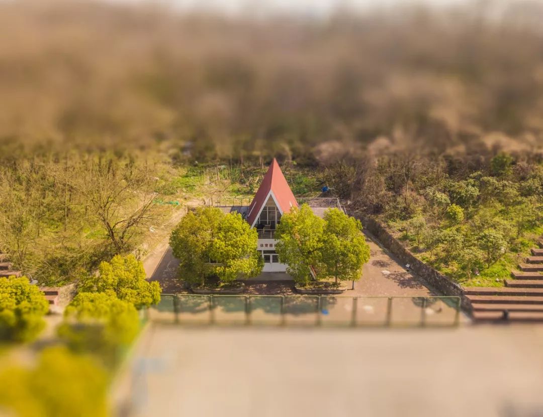 微缩版南京工业大学？“小小”南工今日上线~