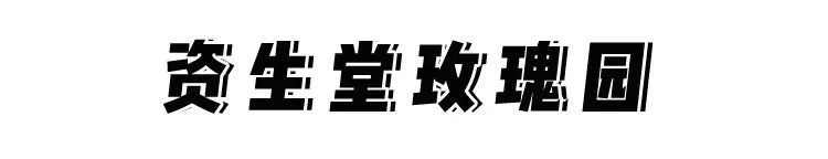 洗完头好闻又舒服的洗发水,香水洗发水持久留香72小时正品