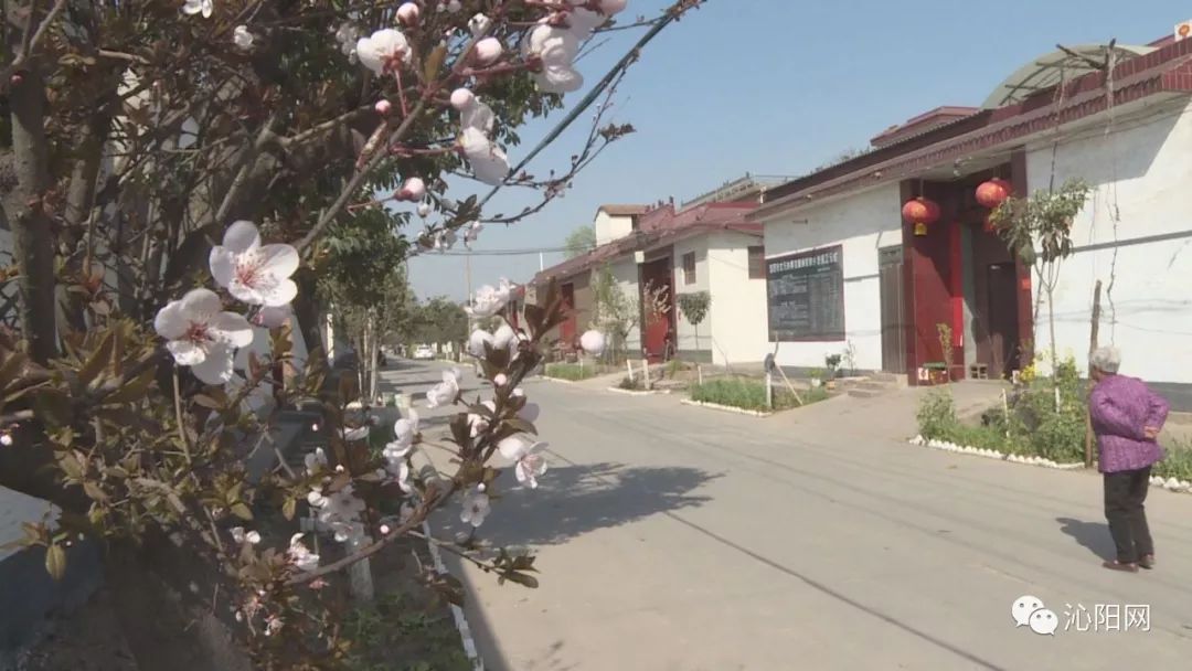 乡镇美丽乡村示范点建设,多点发力打造美丽乡村